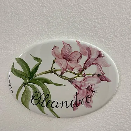 Apartamento Case *